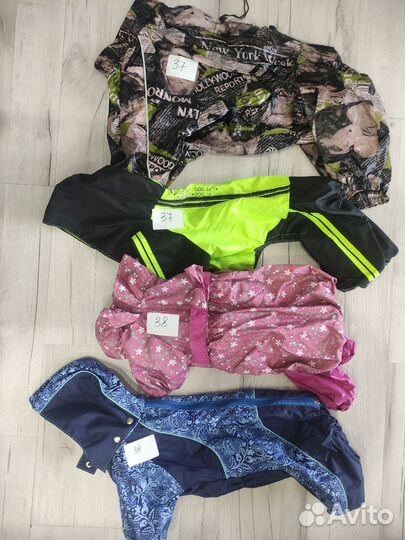 Одежда для собак