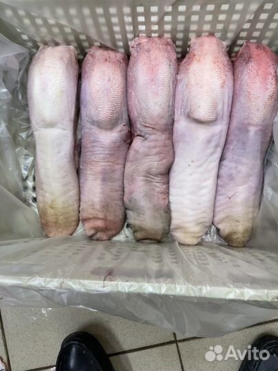 Мясо говядина б/к