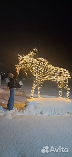 Тело лося под гирлянду