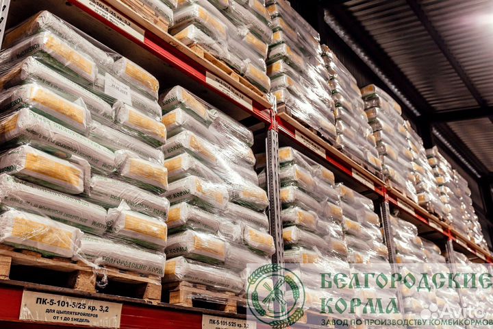 Комбикорм для кур