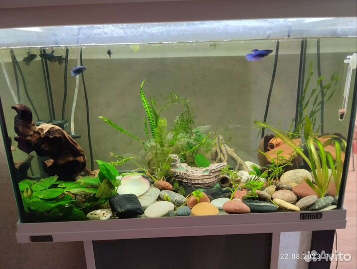 Аквариум