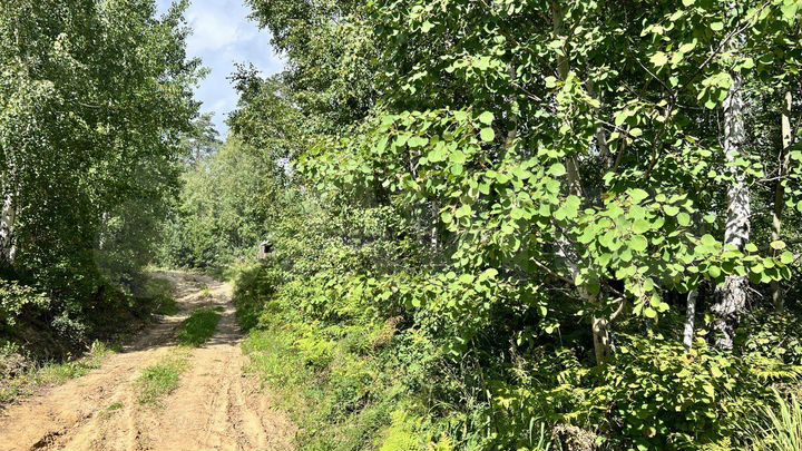 Участок 8,5 сот. (СНТ, ДНП)