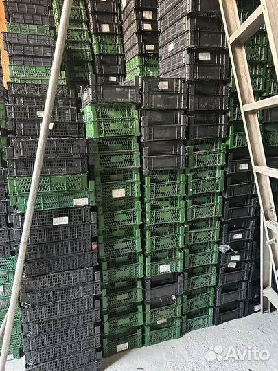 Ящики пластиковые (тара для овощей фруктов )