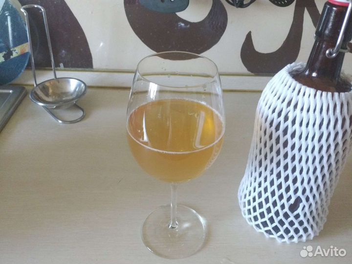 Винный гриб