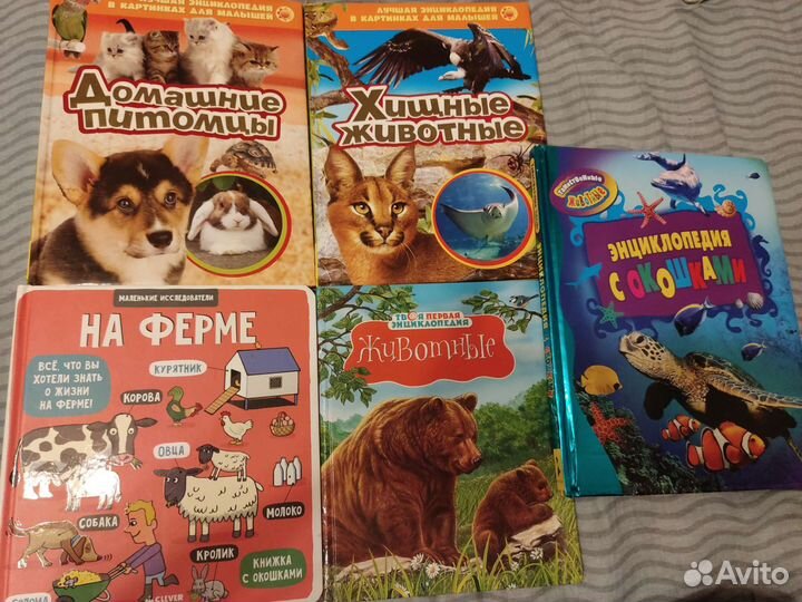 Энциклопедии про животных для малышей