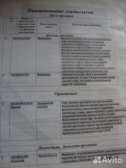 Гладиолусы луковицы сортовые флоксы тюльпаны