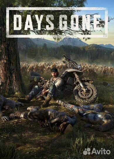 Days gone жизнь после