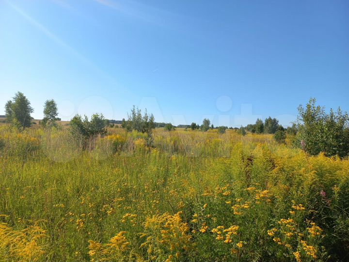 Участок 55,35 га (СНТ, ДНП)