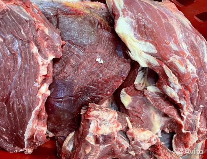 Говядина. Котлетное мясо 1 сорт 80/20