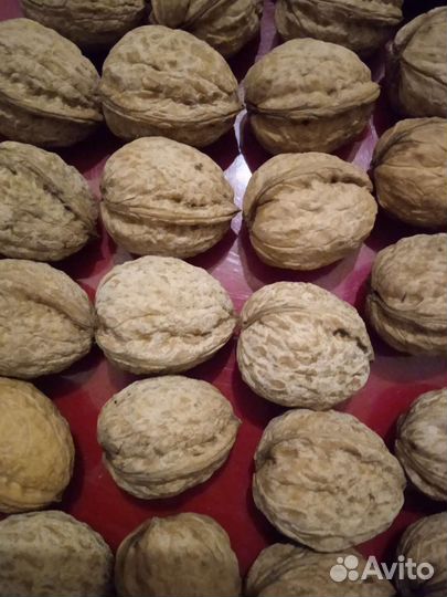 Грецкий орех свежий урожай 2023 года