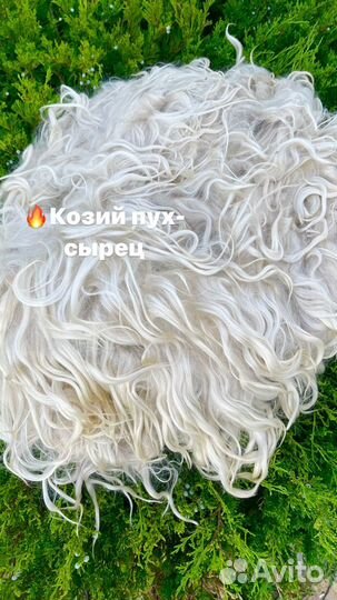 Козий пух белый Волгоградский пух Придонских коз