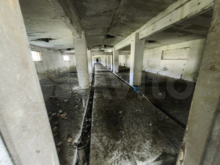 Участок 55 сот. (промназначения)