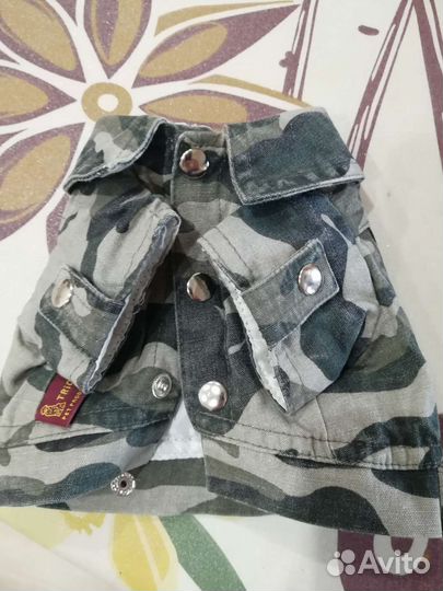 Одежда для маленькой собаки