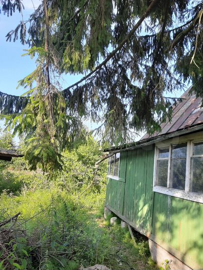 Участок 6,6 сот. (СНТ, ДНП)