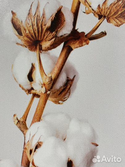 Картина на холсте «Хлопок» 30x30 см