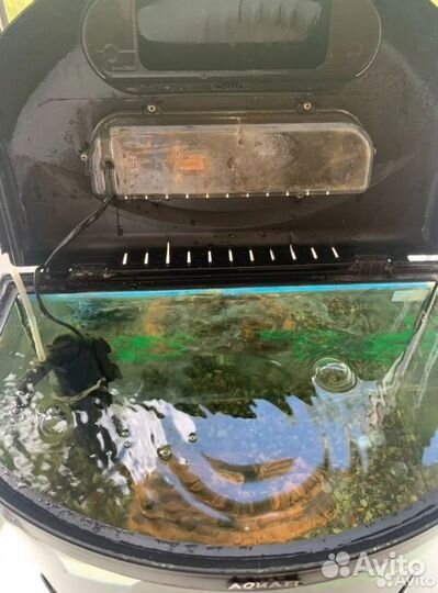 Аквариум со всеми принадлежностями