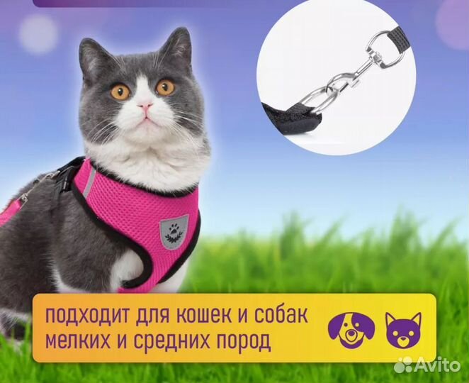 Майка шлейка для кошек