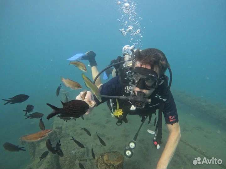 Дайвинг погружение