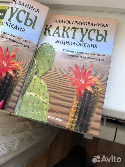 Книга Кунте Либор Кактусы