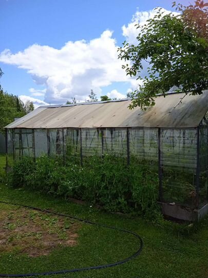 Дом 48 м² на участке 6 сот.