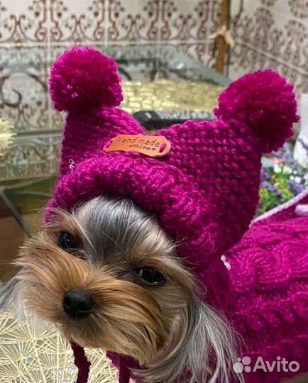 Шапочка для собаки