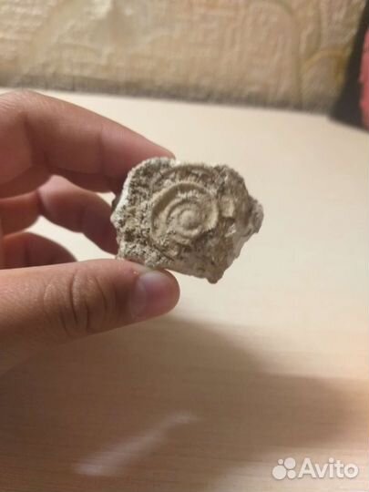 Древние молекула в камне