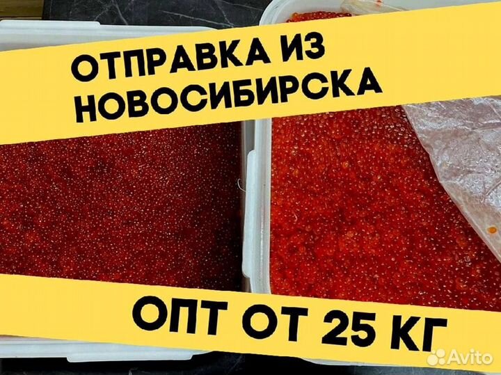 Икра нерки красная, улов 2023