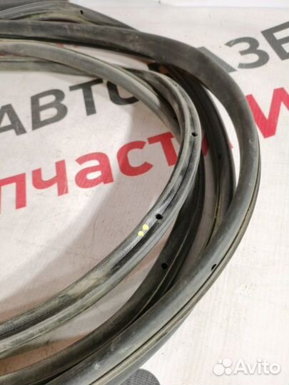 Уплотнительная резинка боковой двери задняя Ford