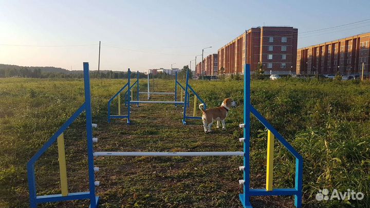 Барьер для аджилити