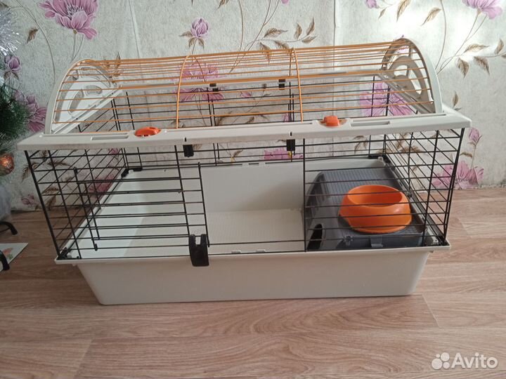 Грызунов