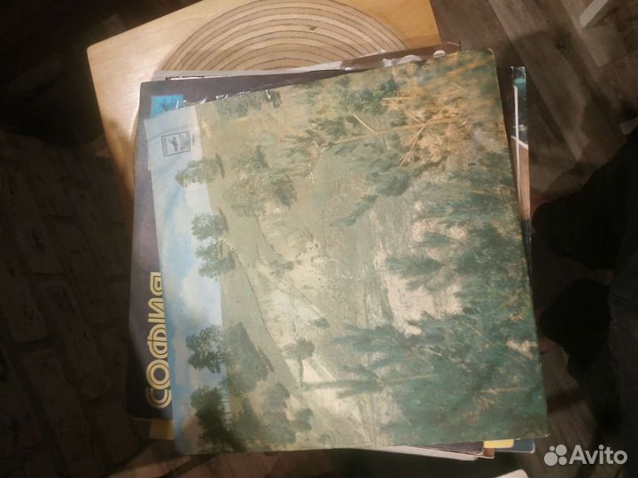 Виниловые пластинки