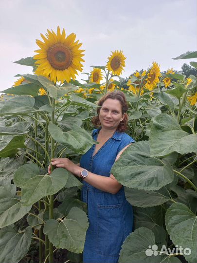 Юрист,юридические услуги,отмена судебного приказа