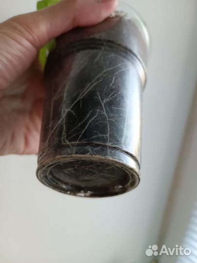 Гигантская Петуния - тайфун