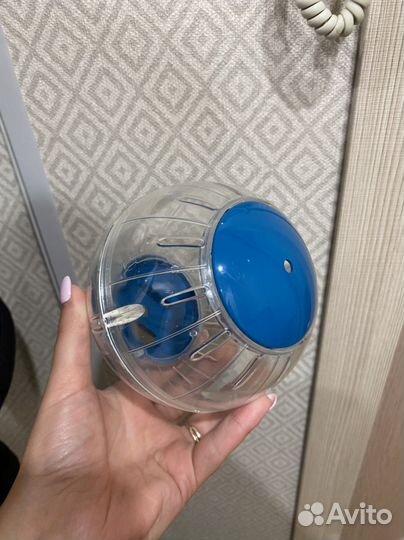 Шар для грызунов