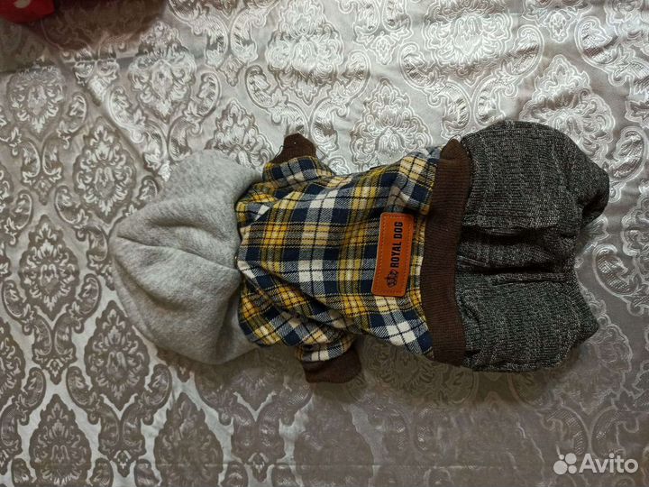 Куртка зимняя для йорка