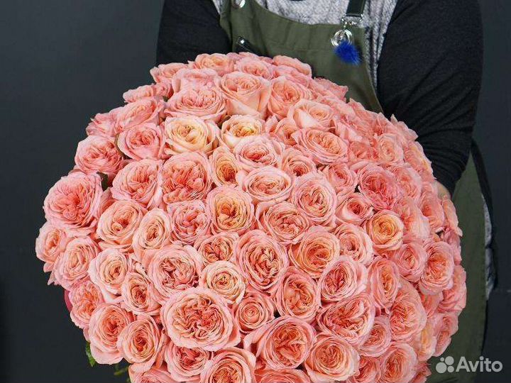 Розы разные сорта