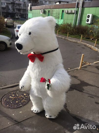 Поздравление от мишки, белый мишка