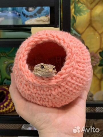 Домик для эублефара, геккона, ящерицы