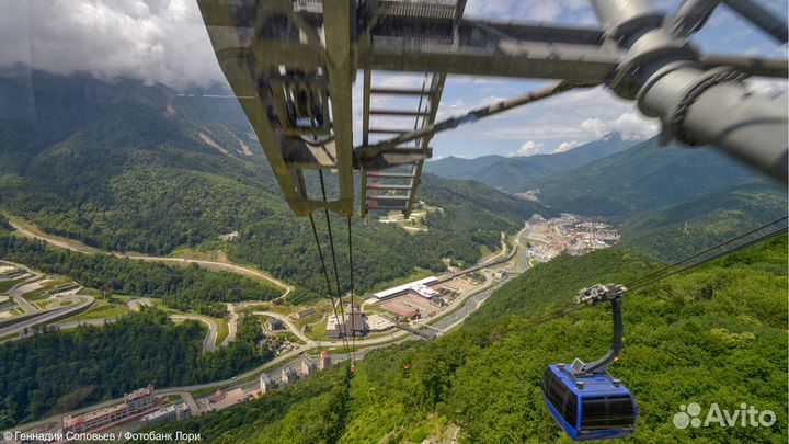 Гранд-тур по курортам Красной Поляны