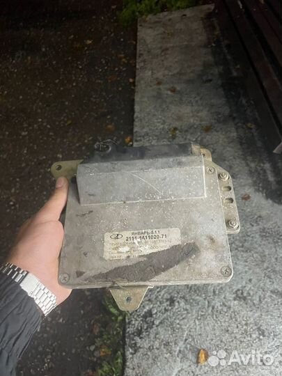 Мозги январь 7.2