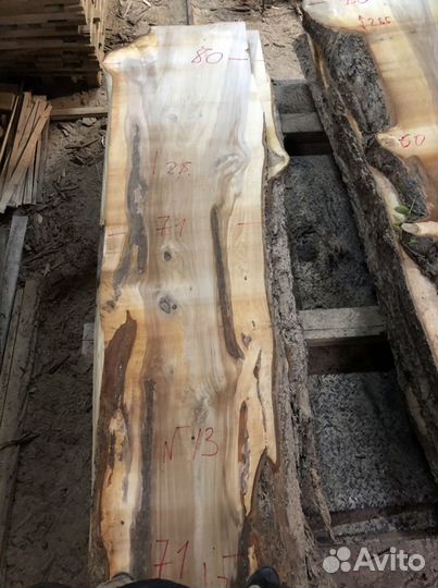Широкие слэбы дерева Вяз, карагач