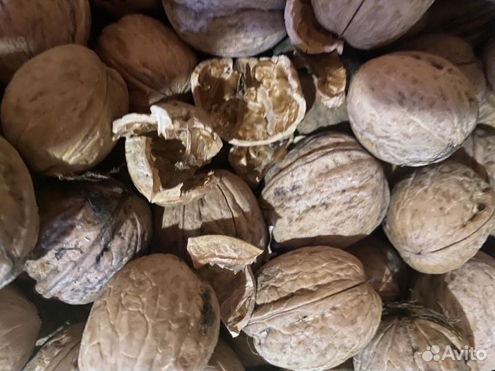 Шкарлупа от грецкого ореха