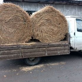 Солома, навоз, опил, дрова(береза) чурками