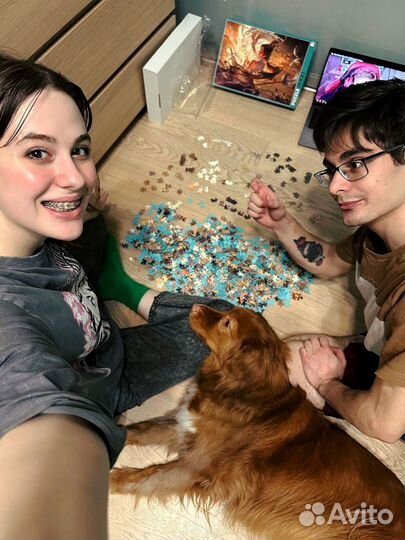 Передержка собак в домашних условиях СПб