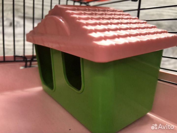 Новая клетка для хомяка джунгарика, мышки