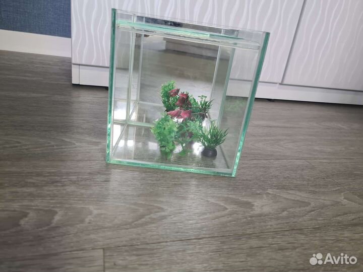 Аквариум террариум