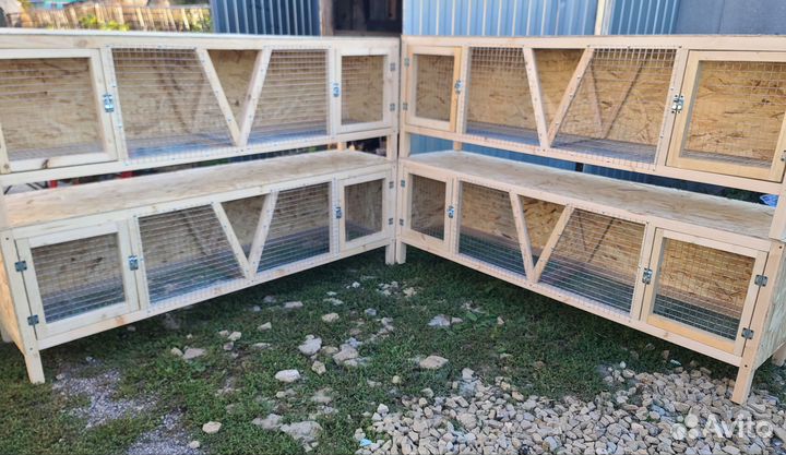 Клетка кролика