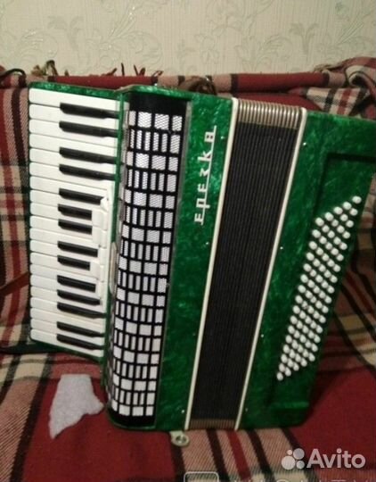 Аккордеон берёзка