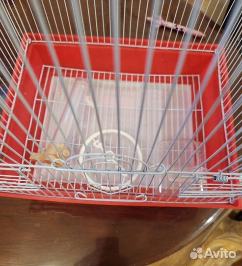 Клетка для среднего попугая