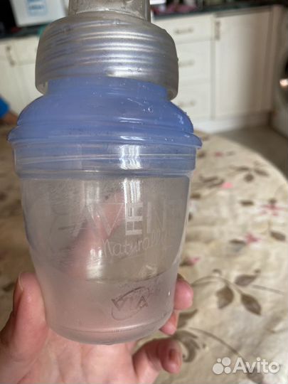 Молокоотсос